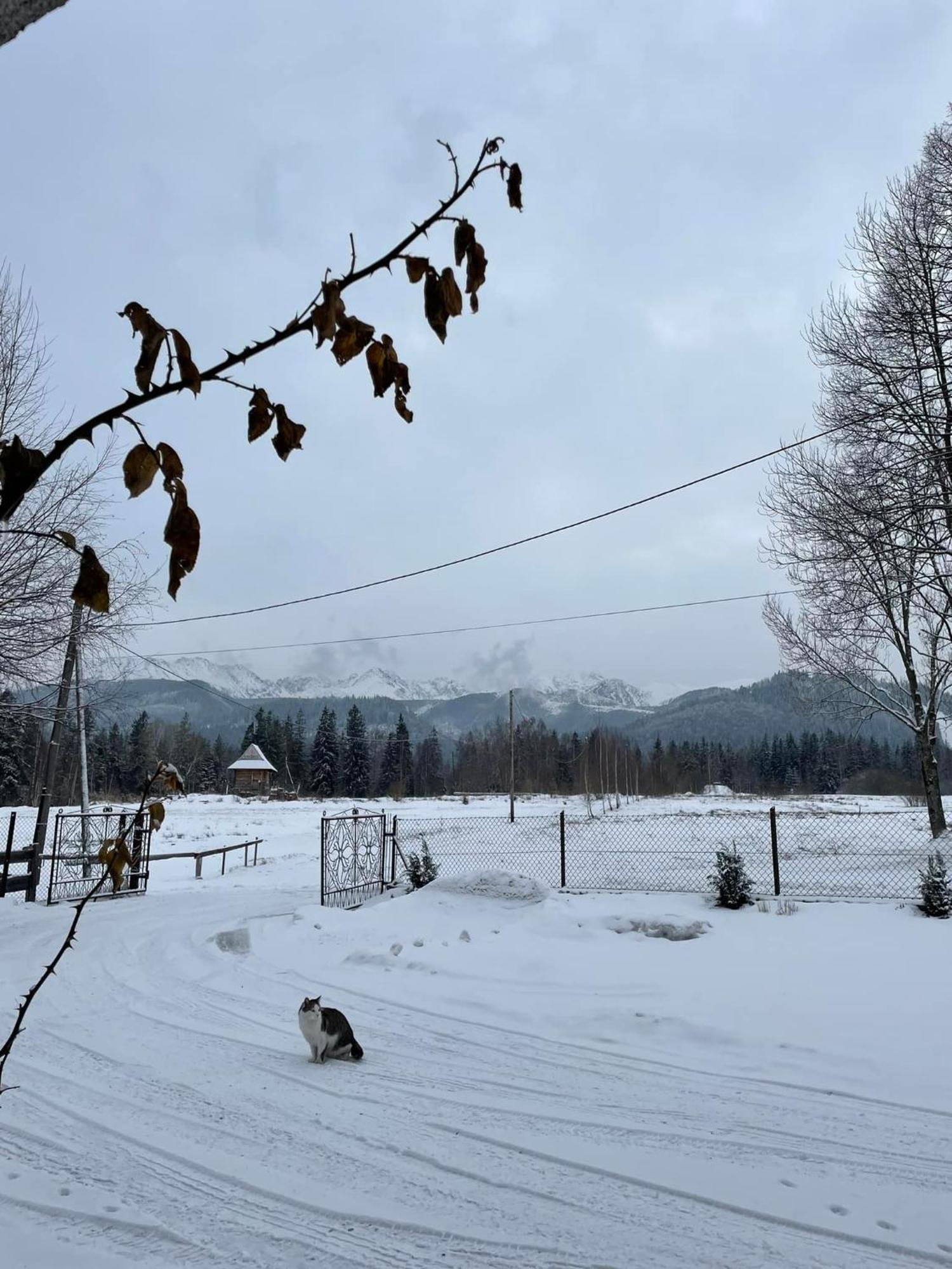 Pensjonat U Doroty, Zakopane - Twoje Miejsce W Gorach Exteriér fotografie