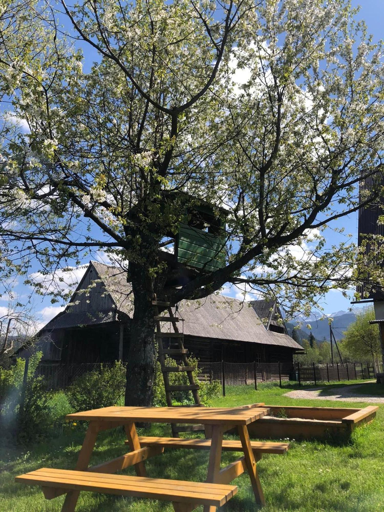 Pensjonat U Doroty, Zakopane - Twoje Miejsce W Gorach Exteriér fotografie